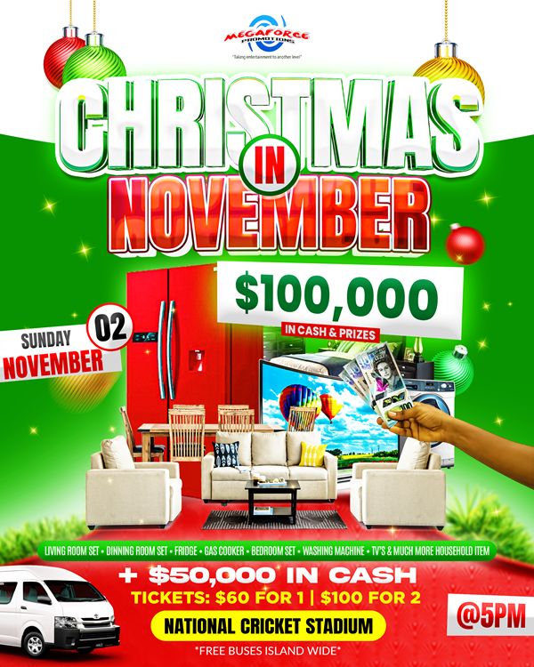 Christmas in November Mega Bingo