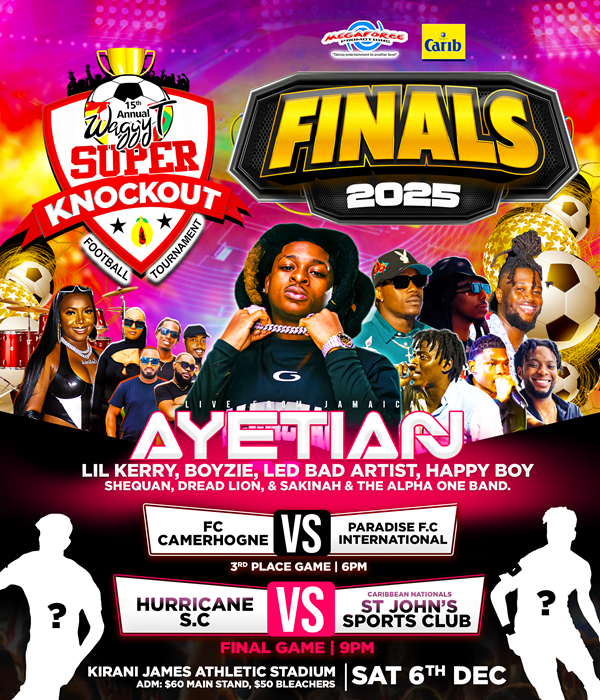 Waggy T Super Knockout Finals