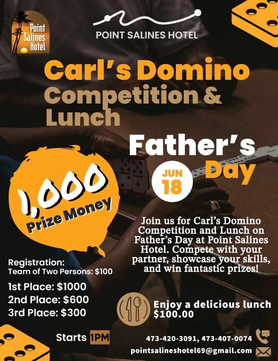 Carls Domino Competition