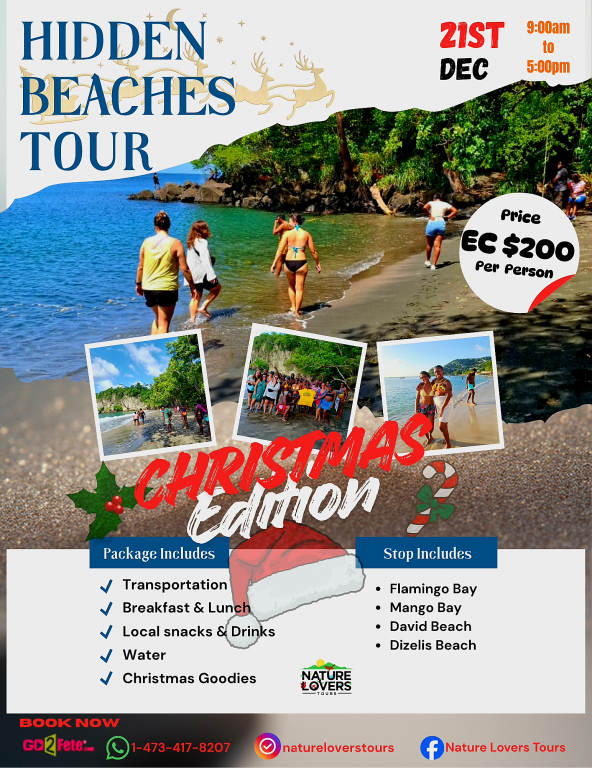 Hidden Beaches Tour Christmas Edition