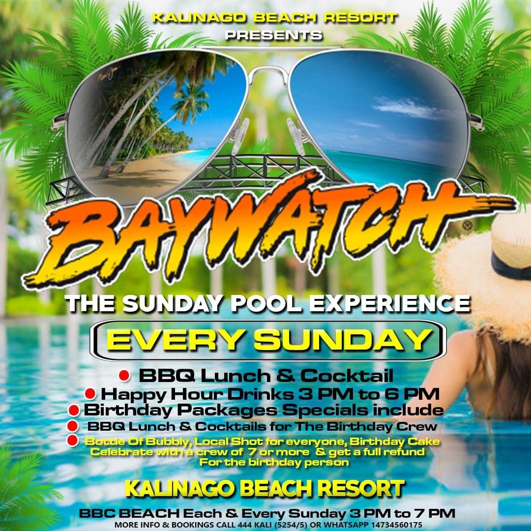 Baywatch @ Kalinago Beach Resort