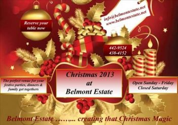 Belmont Estate.....Creating that Christmas Magic