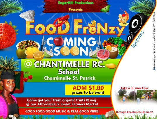 Food Frenzy