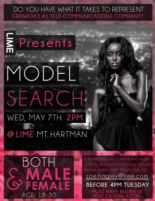 LIME Model Search