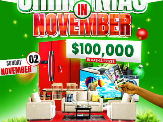 Christmas in November Mega Bingo