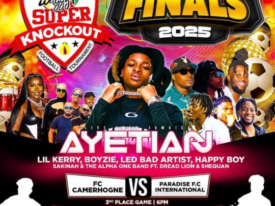 Waggy T Super Knockout Finals