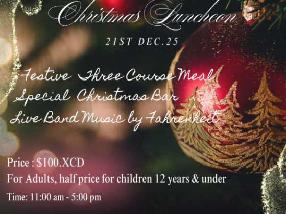 Belmont Estate Christmas Luncheon