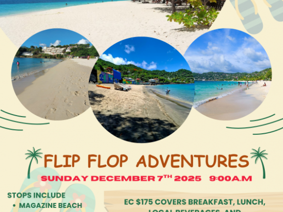 Flip Flop Adventures