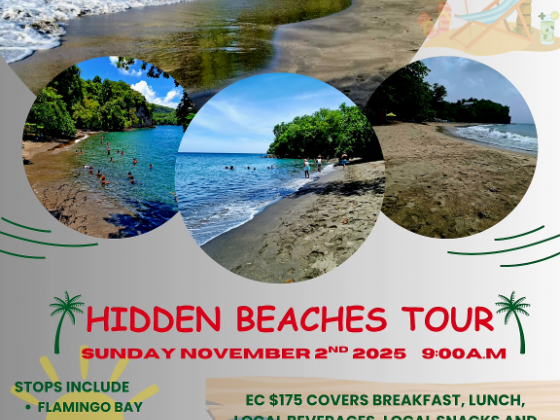 Hidden Beaches Tour