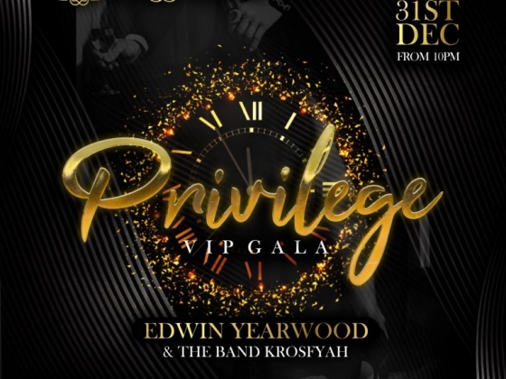 Privilege: The VIP Gala