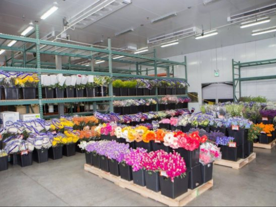 Arizona Flower Market