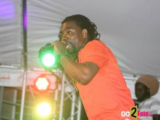 Groovy Monarch Finalists