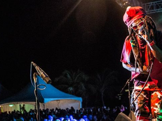 Pure Grenada Music Festival Press Release