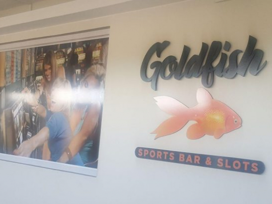 GRAND OPENING OF GOLD FISH SPORTS BAR & SLOTS - FRI. 6 JAN 2016